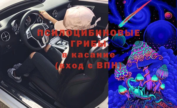 прущие крисы Елабуга