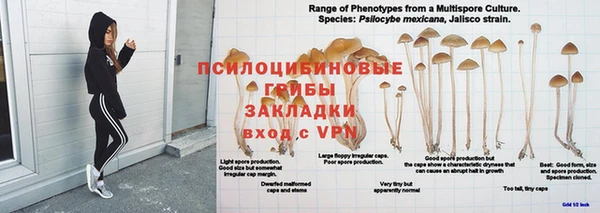 прущие крисы Елабуга