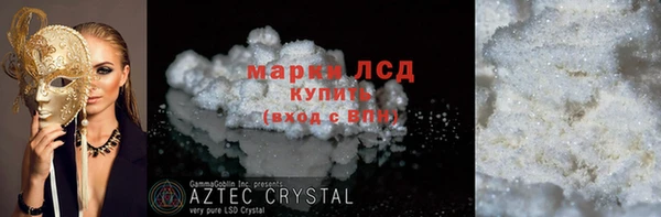 дживик Ельня