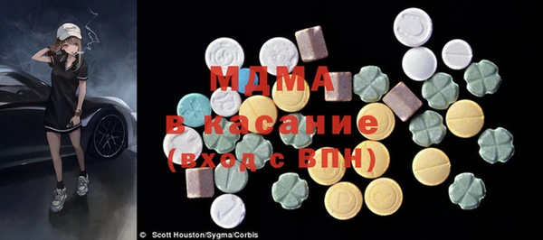 дживик Ельня