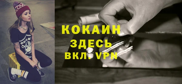 дживик Ельня