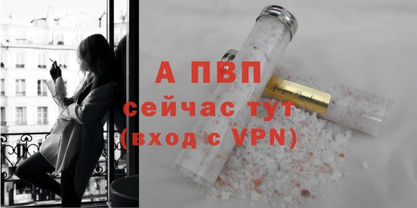 дживик Ельня