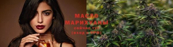 дживик Ельня