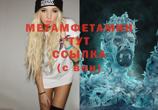 дживик Ельня