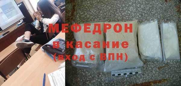 дживик Ельня