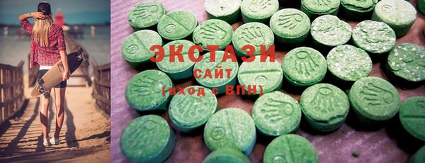 дживик Ельня