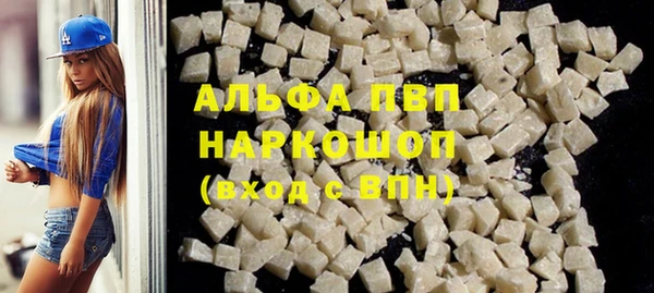 дживик Ельня