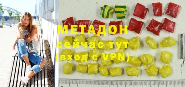 дживик Ельня