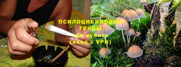 дживик Ельня