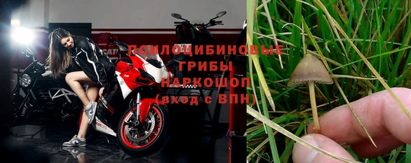 прущие крисы Елабуга