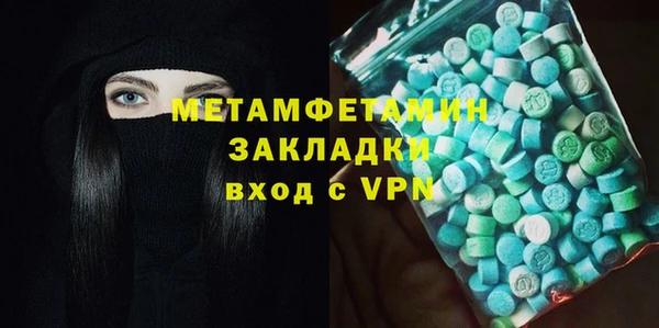 дживик Ельня