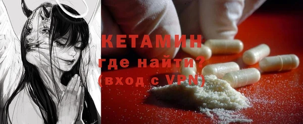 дживик Ельня