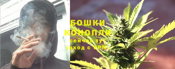 дживик Ельня