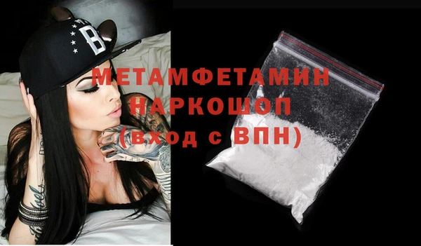 дживик Ельня