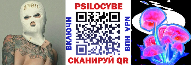 OMG зеркало  Пущино  Псилоцибиновые грибы мицелий 